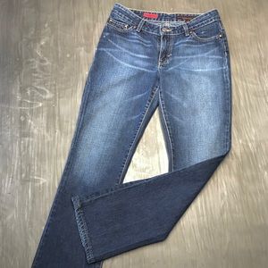 AG Adriano Goldschmied the Gemini Jeans 28